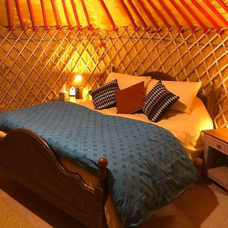Mcclure Yurt At Carrigeen Glamping كيلكيني المظهر الخارجي الصورة