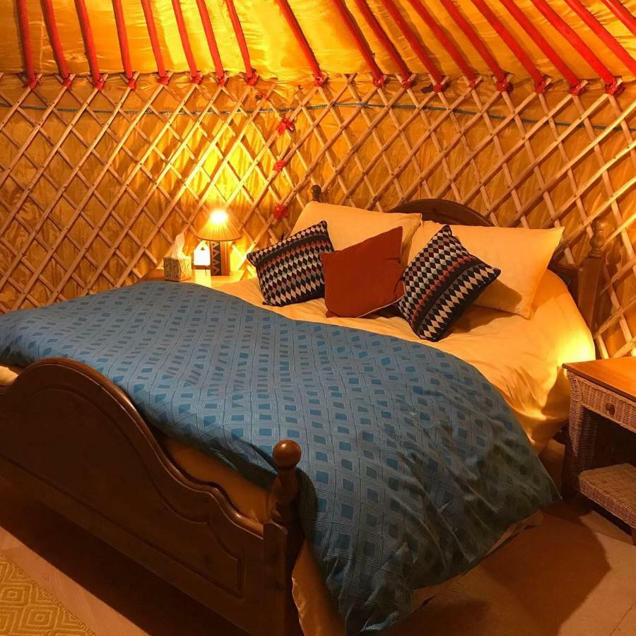 Mcclure Yurt At Carrigeen Glamping كيلكيني المظهر الخارجي الصورة